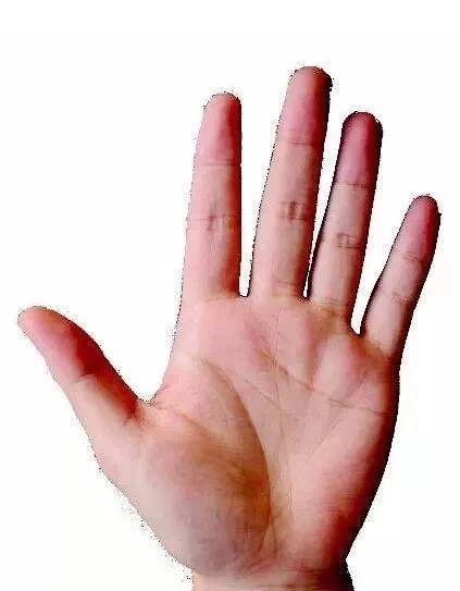 手診七質辨證：虛、淤、毒、痰、鬱、特、平