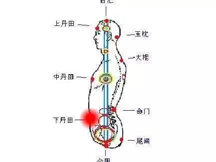 天天敲打胃經和大腸經是預防衰老的秘方！