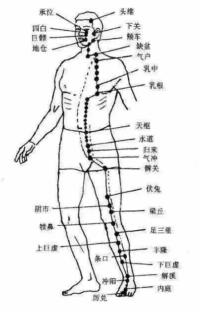 膝關節疼痛的開關在胳膊肘上，常按揉，就好了