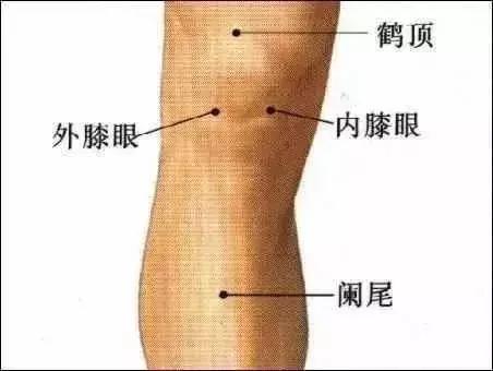 膝關節疼痛的開關在胳膊肘上，常按揉，就好了