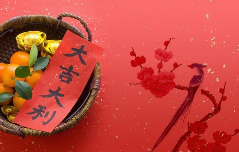 2019年豬年「這4個生肖」犯太歲！要額外小心留意！附上如何破解 ！