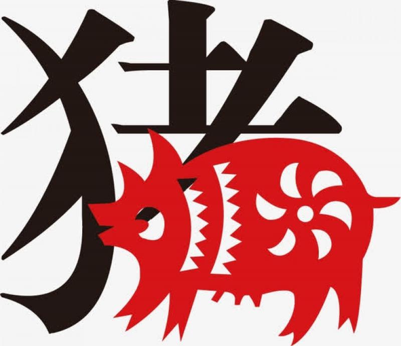 2019年豬年「這4個生肖」犯太歲！要額外小心留意！附上如何破解 ！