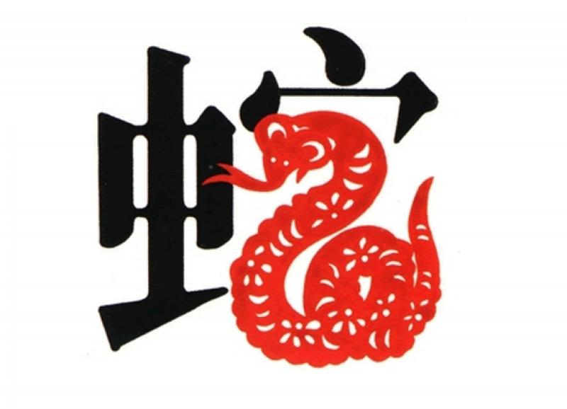 2019年豬年「這4個生肖」犯太歲！要額外小心留意！附上如何破解 ！