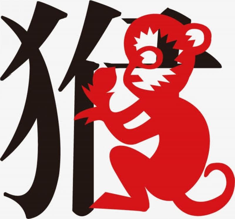 2019年豬年「這4個生肖」犯太歲！要額外小心留意！附上如何破解 ！