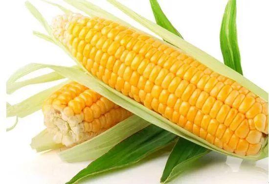 分享丨糖尿病患者適宜的7大雜糧及其做法！