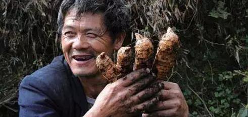 這種珍惜的藥材，手腳麻木要吃，不明頭痛要吃，肝不好要吃，防心梗更要吃！