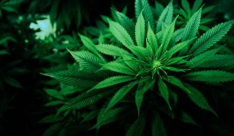 有修為的人，往往是安靜的