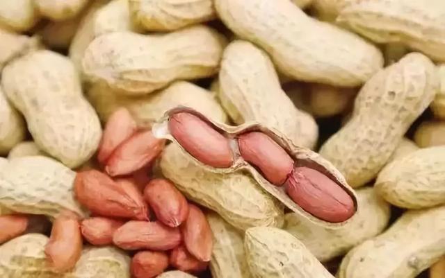 10大堅果食用禁忌！為了您和家人的健康，請花兩分鐘看完