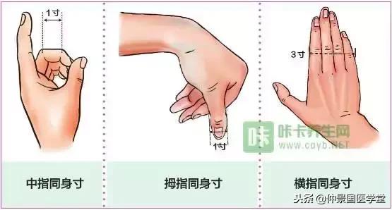 正確快速取穴方法（圖文並茂）