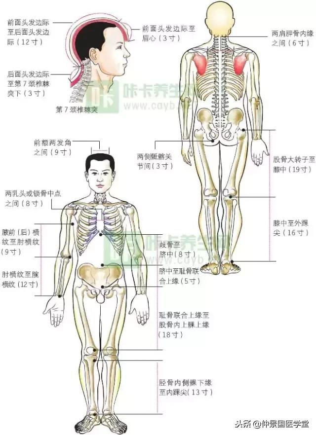 正確快速取穴方法（圖文並茂）