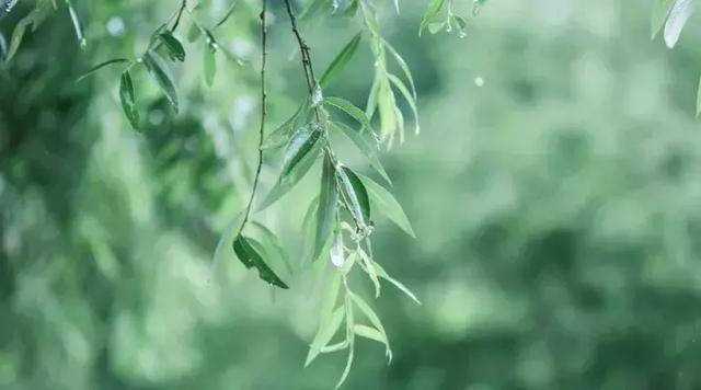 別去賭天意，別去猜人心（經典，建議收藏）