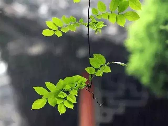 別去賭天意，別去猜人心（經典，建議收藏）