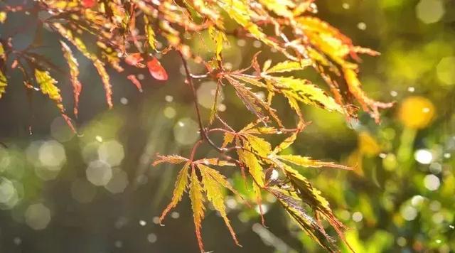 別去賭天意，別去猜人心（經典，建議收藏）