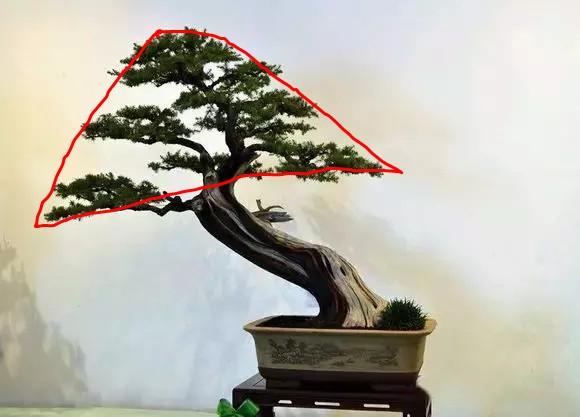 盆景造型初入門，掌握住幾個要點，然後是慢慢進化，耐心是關鍵