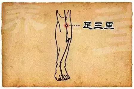五臟常見虛勞症（陰、陽、氣、血）的調理法！收了吧！