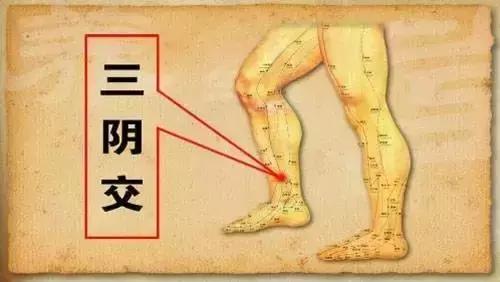 五臟常見虛勞症（陰、陽、氣、血）的調理法！收了吧！