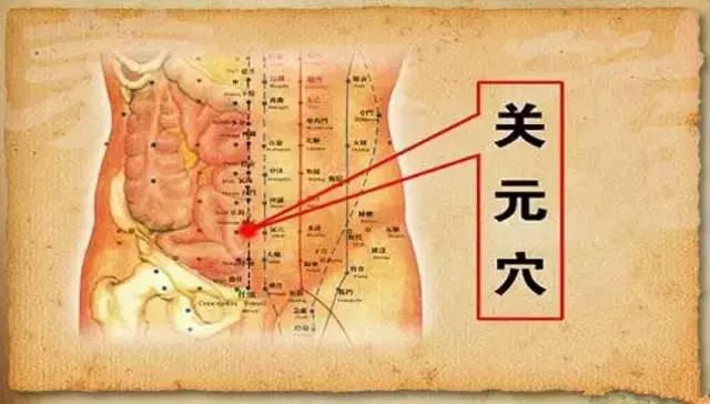 五臟常見虛勞症（陰、陽、氣、血）的調理法！收了吧！