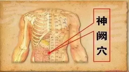 五臟常見虛勞症（陰、陽、氣、血）的調理法！收了吧！