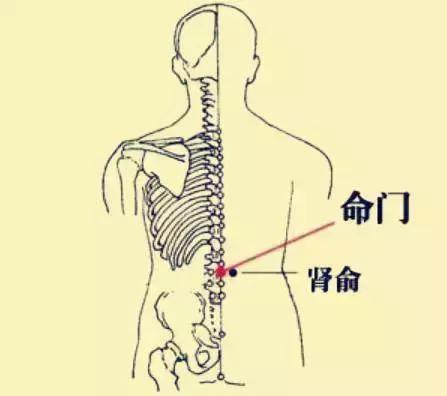 五臟常見虛勞症（陰、陽、氣、血）的調理法！收了吧！