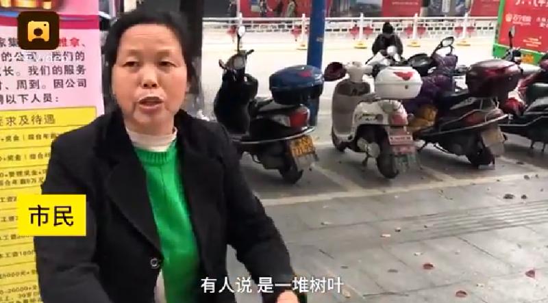乞丐當眾「灑出鈔票山丘」被嗆有錢還乞討！他接著「開口說出4個字」大家搶著捐錢！