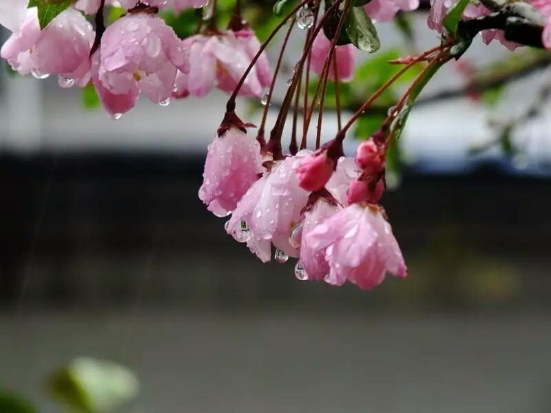 下雨天了，我好想你.....