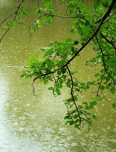 下雨天了，我好想你.....