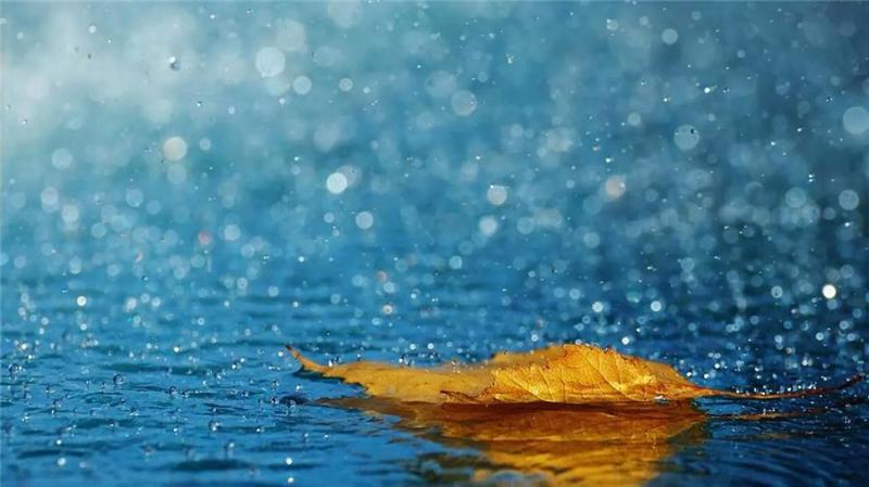 下雨天了，我好想你.....
