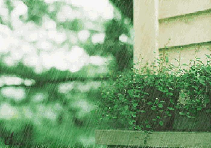 下雨天了，我好想你.....