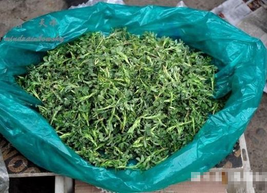 懷孕後母親給5萬，婆婆送袋野菜嫌髒扔地上，一周後打開墮了胎