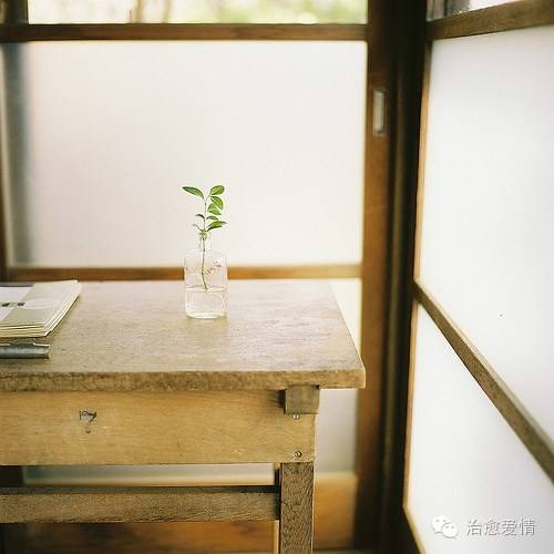 真心相愛的人更容易吵架，你懂嗎？