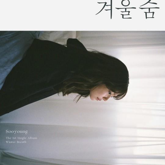 T-ara智妍發售單曲，碰巧撞上少女時代秀英，歌迷表示：我全買！