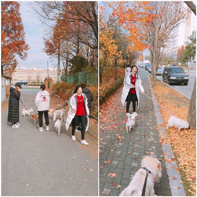 [GFRIEND][分享]181218 人美心善！藝琳與96line親故探訪遺棄犬救助中心花絮公開