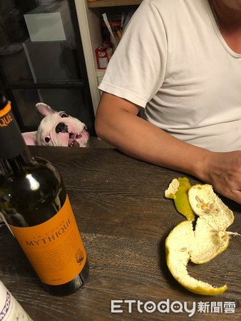 法鬥腳上全是「深紅鮮血」媽嚇壞　轉頭看...差點氣瘋 
