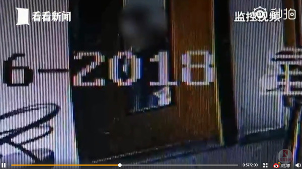 [禽獸]用條狀物狠打30分鐘！　店貓大小便失禁、頭骨折變形 