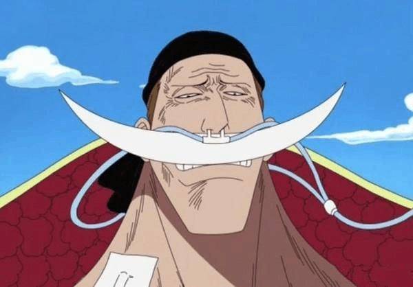 《海賊王》這幾位雖然身體上有殘缺，但卻無人可超越，實至名歸