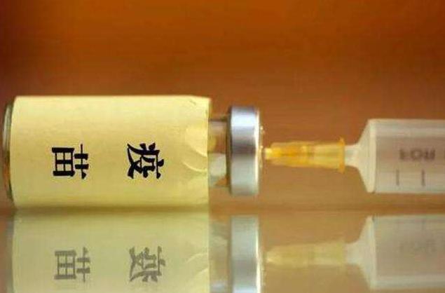 泰迪能活多久10-15歲？7招延長狗狗壽命