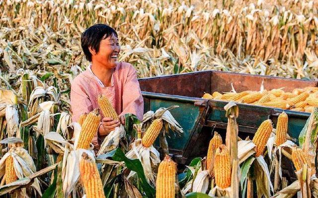 母親賣豆腐養我10年，我回家探望，聽到院內笑聲氣得牙痒痒