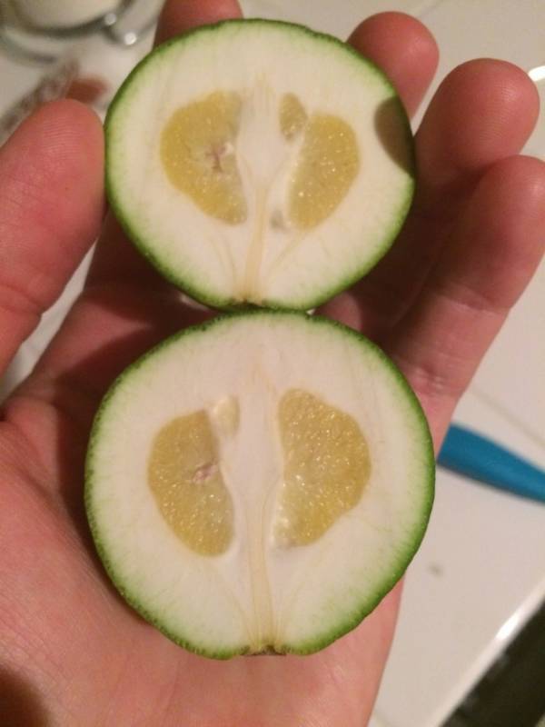 19個會讓你的大腦完全無法理解的超WTF食物XDXD