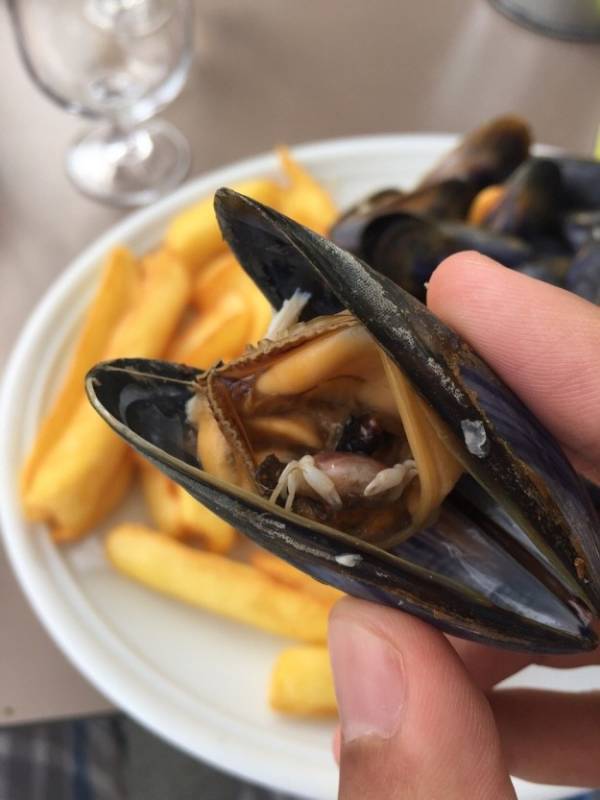 19個會讓你的大腦完全無法理解的超WTF食物XDXD