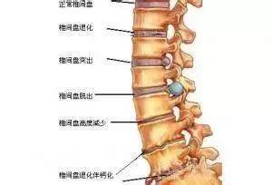 1個動作滾動30次，放鬆全身肌肉，頸椎不酸了，腰椎不疼了