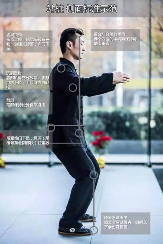 每天站樁5分鐘，腎陽足了，腰腿好了，千金不換好動作