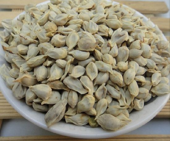 老中醫提醒，難道你們還要隨手丟掉這些「救命藥」，然後再花錢到醫院買回來！？ 