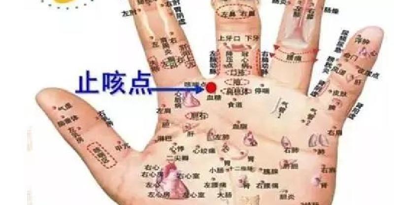 止咳點在手及腳上都有，只要按的對，5分鐘見效。