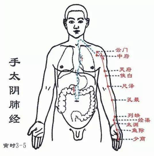 止咳點在手及腳上都有，只要按的對，5分鐘見效。