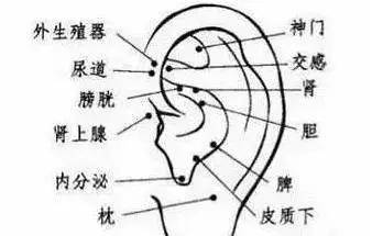 止咳點在手及腳上都有，只要按的對，5分鐘見效。