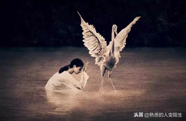 一輩子不容易，請務必善待自己