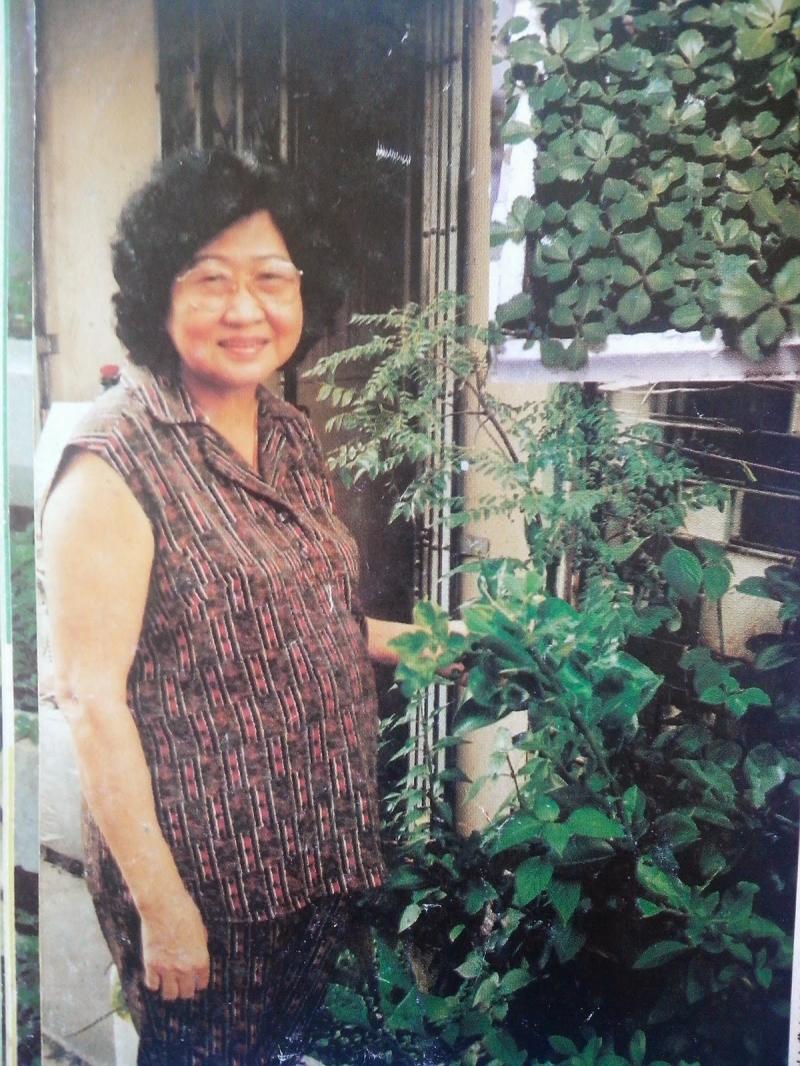 它是糖尿病爛腿者的救星，並曾救回一對糖尿病患母子的爛腿 