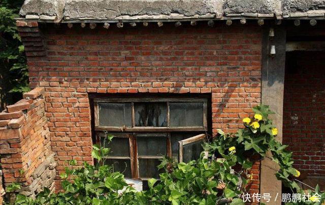 養母把我養大，上門找我借10萬，得知背後原因，我一分沒給
