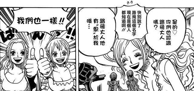 《海賊王》中花魁小紫的登場其實早有伏筆，尾田不愧是伏筆狂魔！
