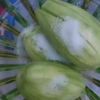 腌芒果酸酸甜甜，其中夾雜著一絲絲辣，很開胃